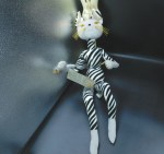 glamkat zebra